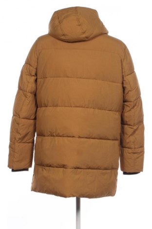 Herrenjacke Calvin Klein, Größe XL, Farbe Gelb, Preis 224,99 €