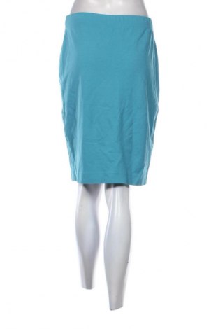 Rock Daphne, Größe M, Farbe Blau, Preis € 13,99