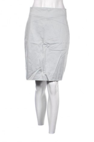 Rock Hugo Boss, Größe M, Farbe Grau, Preis 47,99 €