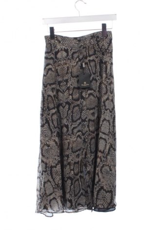 Fustă Massimo Dutti, Mărime XS, Culoare Multicolor, Preț 392,72 Lei