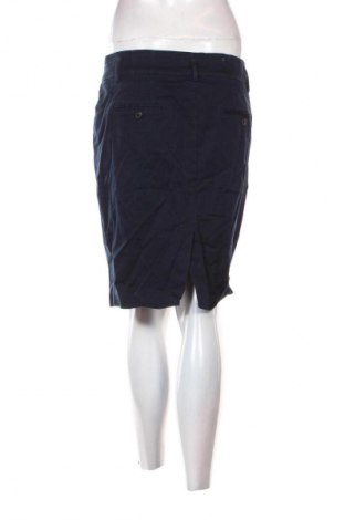 Φούστα Zara, Μέγεθος M, Χρώμα Μπλέ, Τιμή 4,99 €