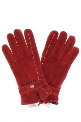 Handschuhe Tom & Rose, Farbe Orange, Preis € 28,99