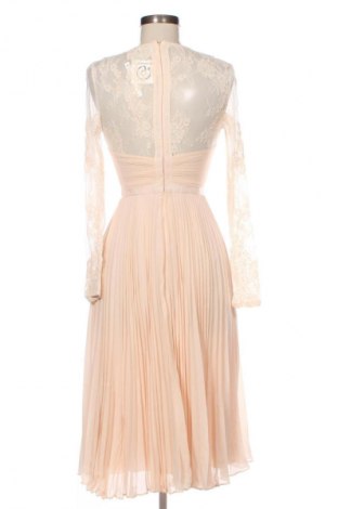 Kleid ASOS, Größe S, Farbe Beige, Preis 96,99 €