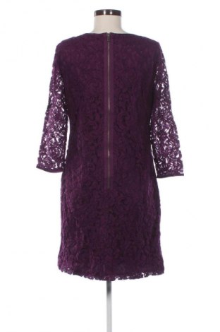 Kleid Adrianna Papell, Größe XL, Farbe Lila, Preis € 57,99