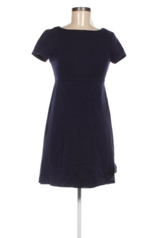 Kleid Adrianna Papell, Größe S, Farbe Blau, Preis € 33,25