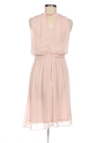 Kleid Adrianna Papell, Größe M, Farbe Rosa, Preis € 33,99