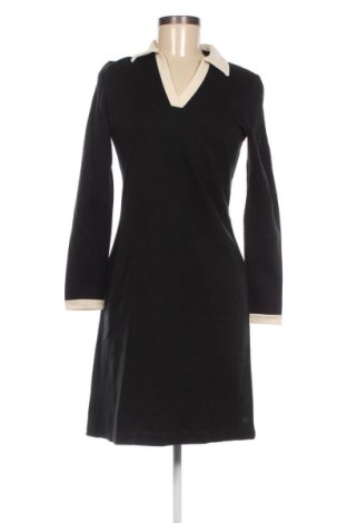 Kleid Ann Taylor, Größe S, Farbe Schwarz, Preis € 40,99