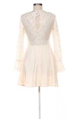 Kleid Ax Paris, Größe M, Farbe Ecru, Preis € 41,04