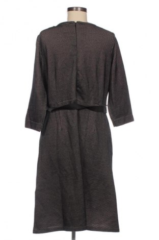 Kleid Betty Barclay, Größe XL, Farbe Mehrfarbig, Preis € 113,22