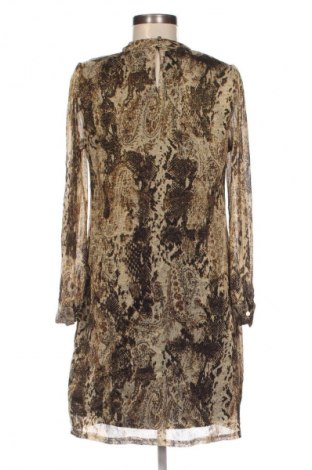 Kleid Billie & Blossom, Größe M, Farbe Mehrfarbig, Preis € 13,99
