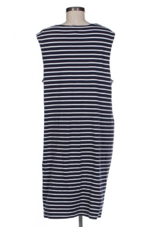 Kleid Cecil, Größe XXL, Farbe Mehrfarbig, Preis € 18,99