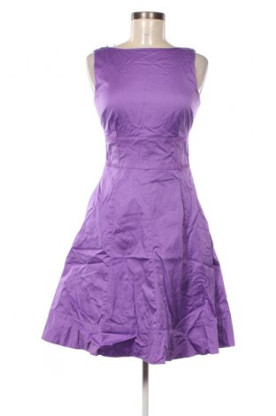 Kleid Coast, Größe M, Farbe Lila, Preis € 45,99