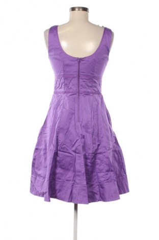 Kleid Coast, Größe M, Farbe Lila, Preis € 45,99