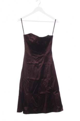 Kleid Coast, Größe S, Farbe Rot, Preis € 66,99