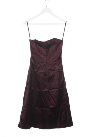 Kleid Coast, Größe S, Farbe Rot, Preis € 66,99