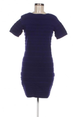Kleid Coast, Größe L, Farbe Blau, Preis € 57,99