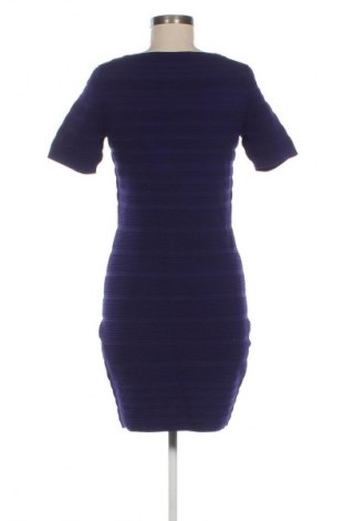 Kleid Coast, Größe L, Farbe Blau, Preis € 57,99