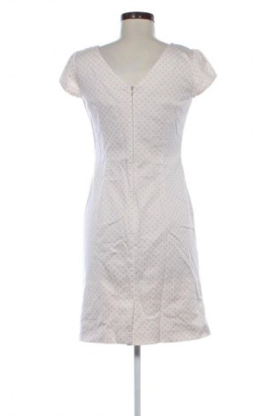 Kleid Comma,, Größe S, Farbe Mehrfarbig, Preis € 34,99