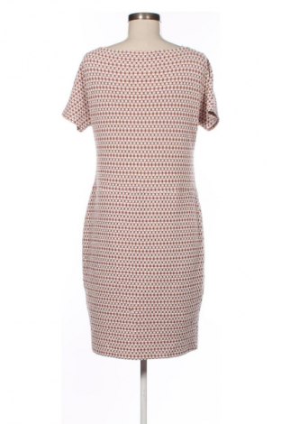 Kleid Creme De La Creme, Größe L, Farbe Mehrfarbig, Preis € 35,92