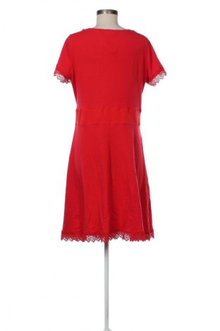 Kleid Dorothy Perkins, Größe XL, Farbe Rot, Preis € 11,99