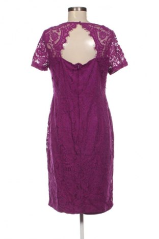 Sukienka Dorothy Perkins, Rozmiar L, Kolor Fioletowy, Cena 459,99 zł