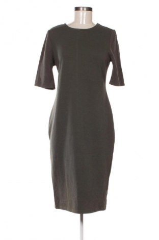 Kleid Dorothy Perkins, Größe L, Farbe Grün, Preis 27,99 €