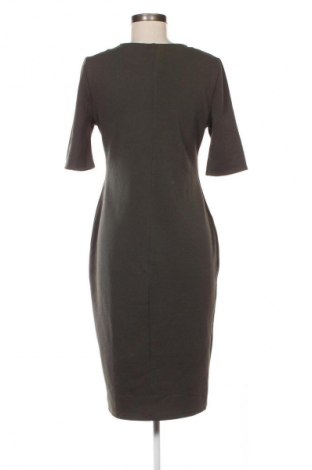 Kleid Dorothy Perkins, Größe L, Farbe Grün, Preis 27,99 €