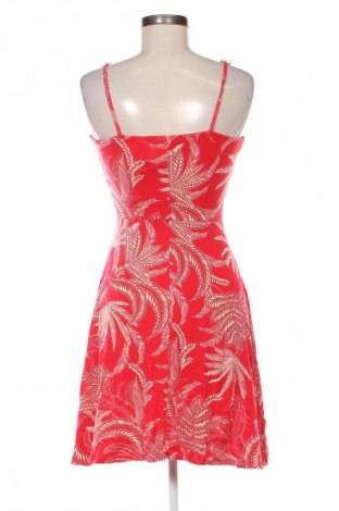 Šaty  Dorothy Perkins, Veľkosť S, Farba Viacfarebná, Cena  9,95 €