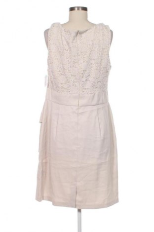Šaty  Dressbarn, Veľkosť XL, Farba Kremová, Cena  54,95 €