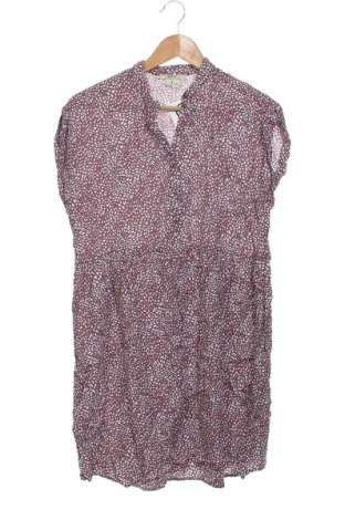 Kleid Esprit Maternity, Größe XS, Farbe Mehrfarbig, Preis € 26,99