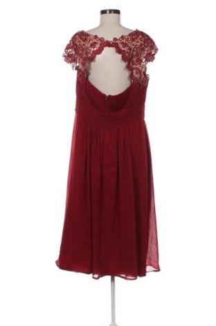 Kleid Ever Pretty, Größe XXL, Farbe Rot, Preis 42,99 €