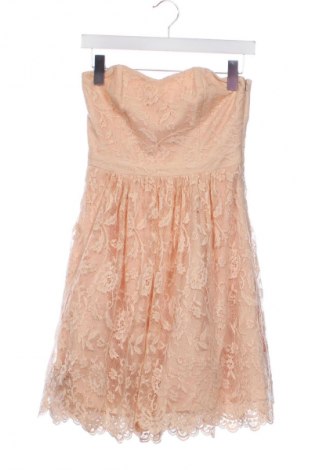 Kleid Forever New, Größe S, Farbe Rosa, Preis € 33,99