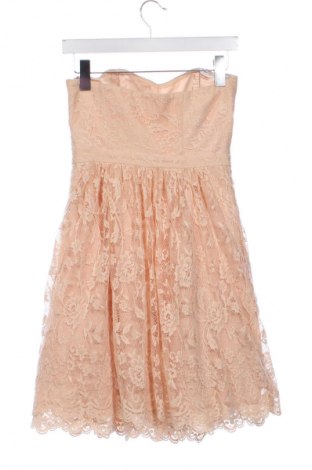 Kleid Forever New, Größe S, Farbe Rosa, Preis € 33,99