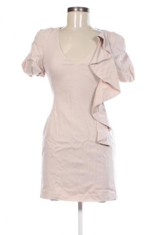 Kleid French Connection, Größe S, Farbe Rosa, Preis € 57,99