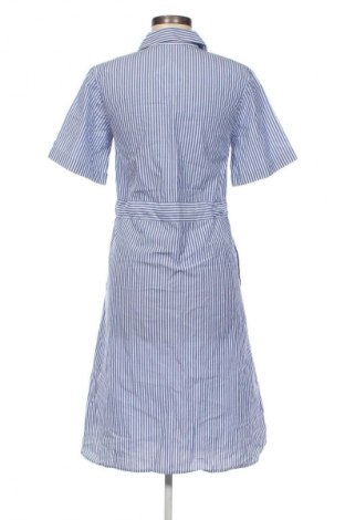 Kleid French Connection, Größe M, Farbe Mehrfarbig, Preis € 41,98