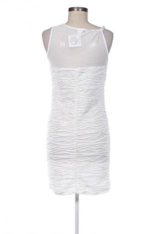 Kleid HOT GAL, Größe L, Farbe Mehrfarbig, Preis € 12,99