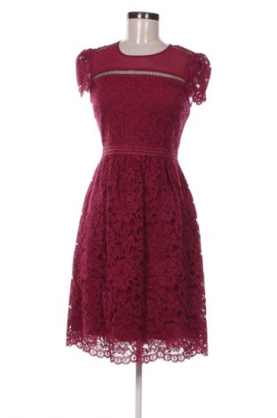 Kleid Hallhuber, Größe S, Farbe Lila, Preis € 132,17