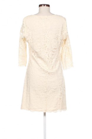 Kleid Happy Holly, Größe XL, Farbe Beige, Preis € 15,99