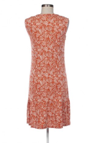 Kleid Hessnatur, Größe S, Farbe Mehrfarbig, Preis € 42,05