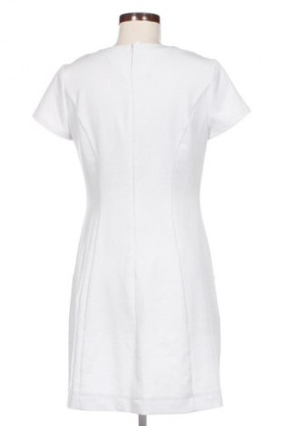 Kleid King, Größe S, Farbe Grau, Preis € 20,99