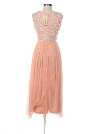 Kleid Lace & Beads, Größe XS, Farbe Mehrfarbig, Preis 96,99 €