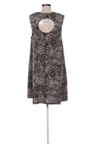 Sukienka Lily Morgan, Rozmiar XL, Kolor Kolorowy, Cena 95,99 zł