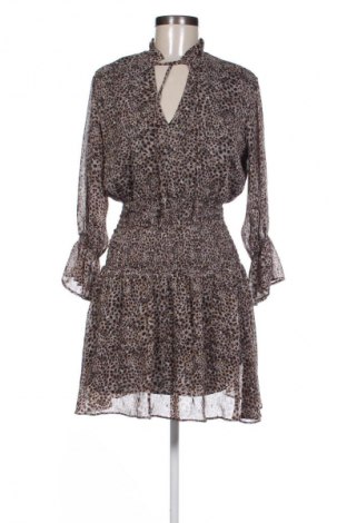 Kleid Liu Jo, Größe XS, Farbe Mehrfarbig, Preis € 40,99