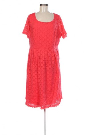 Sukienka Liz Claiborne, Rozmiar XL, Kolor Różowy, Cena 90,99 zł