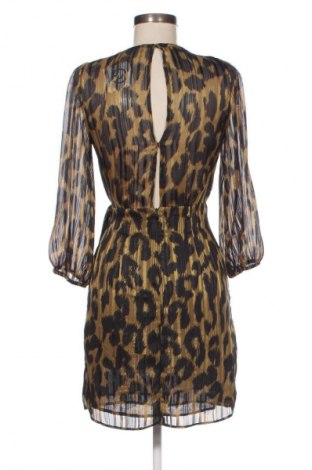 Kleid Mango, Größe XS, Farbe Mehrfarbig, Preis € 11,99