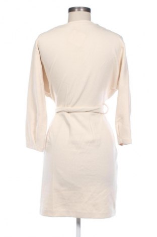 Kleid Mango, Größe L, Farbe Beige, Preis 28,13 €