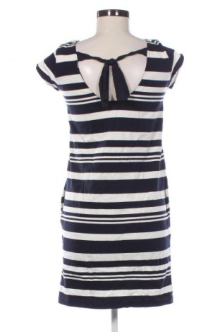 Kleid Massimo Dutti, Größe S, Farbe Mehrfarbig, Preis € 31,99