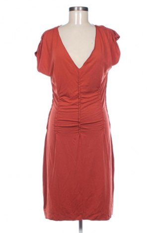 Kleid Max Studio, Größe XL, Farbe Braun, Preis € 32,99