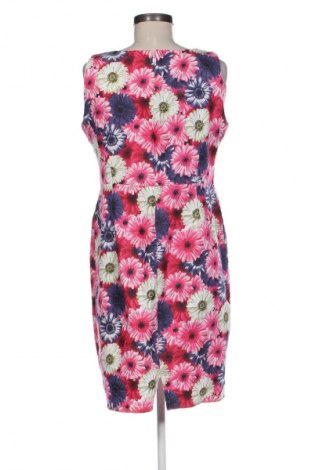 Kleid Miss Chic, Größe XL, Farbe Mehrfarbig, Preis € 14,83
