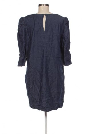 Kleid New York & Company, Größe XXL, Farbe Blau, Preis € 33,99
